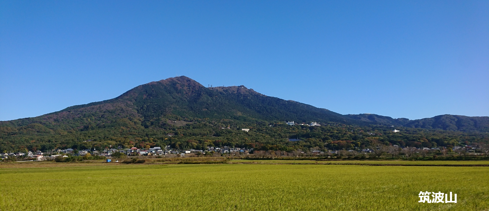 社会福祉法人茨城県視覚障害者協会